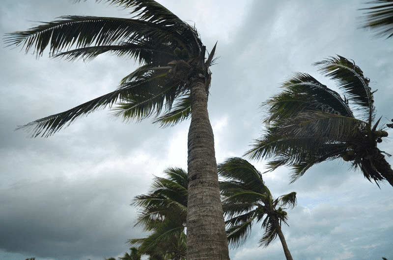 Hurricane Preparedness Tips for Your Workplace